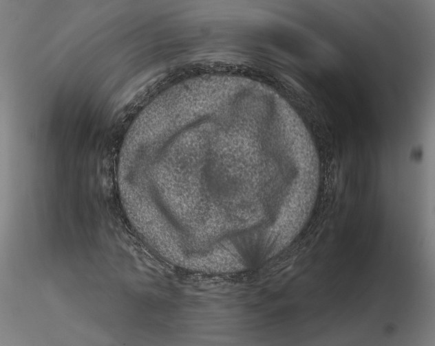 X0000116100774200912211610