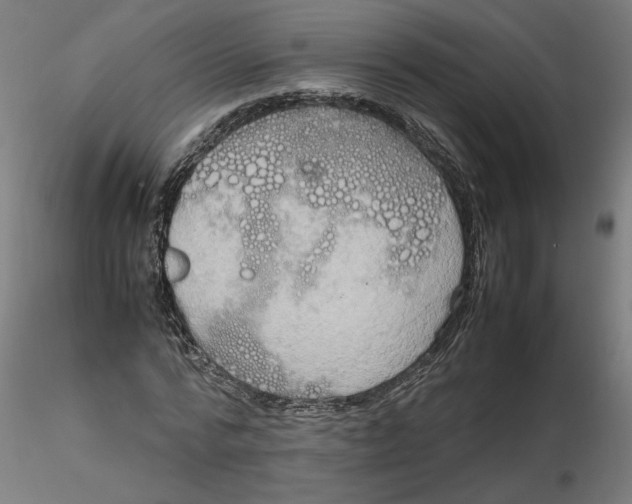 X0000116100776200912211610