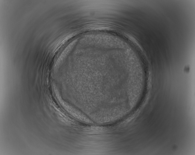 X0000116100777200912211610