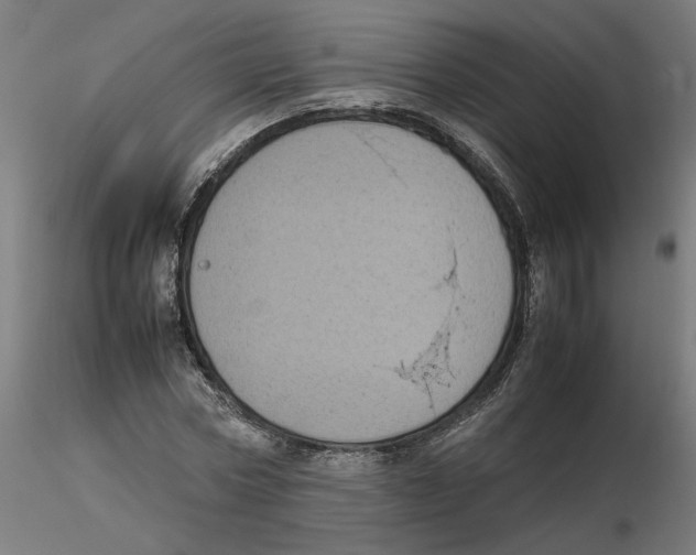 X0000116100778200912211610