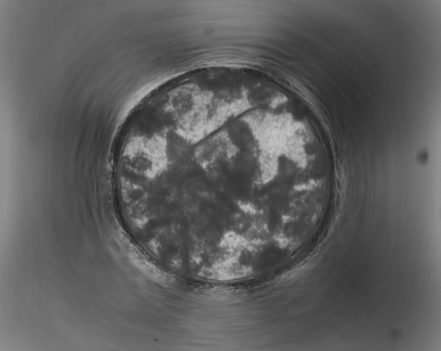 X0000116100779200912211610