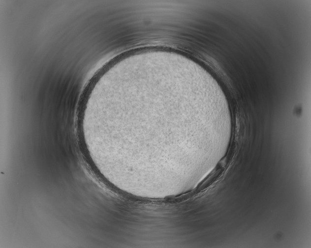 X0000116100780200912211610