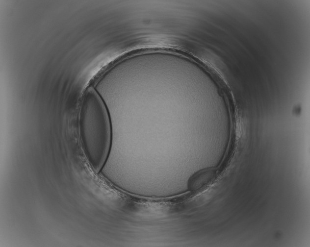 X0000116100781200912211610