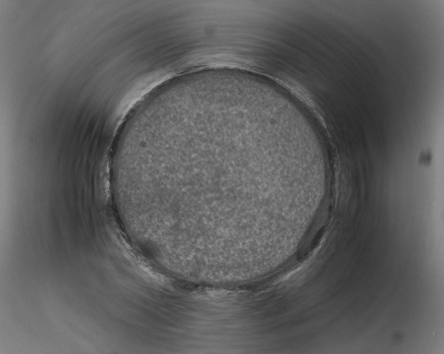 X0000116100782200912211610