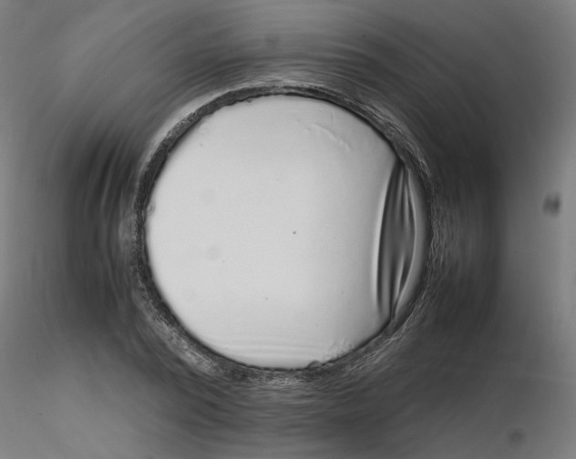 X0000116100784200912211610