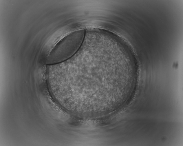 X0000116100785200912211610