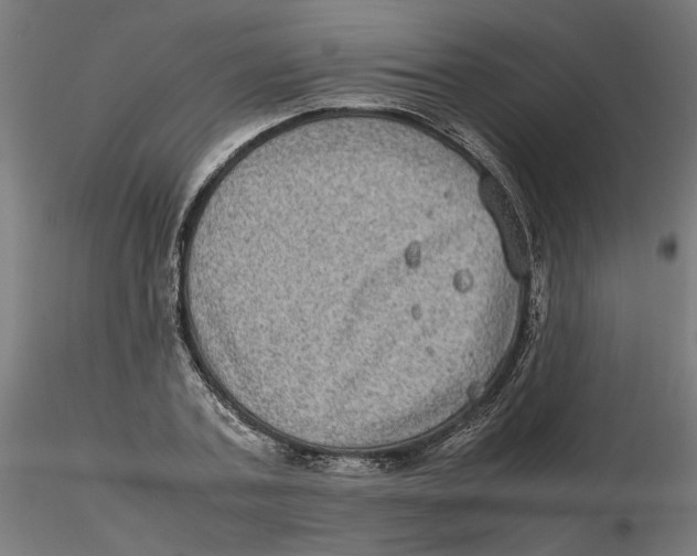 X0000116100787200912211610