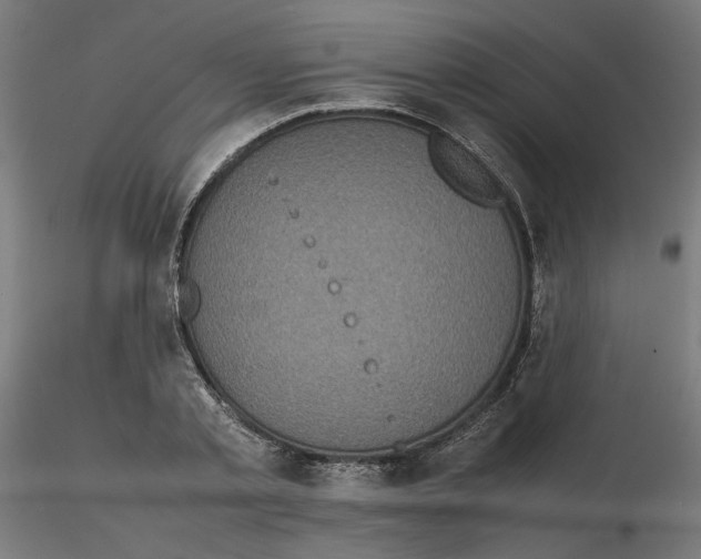 X0000116100789200912211610