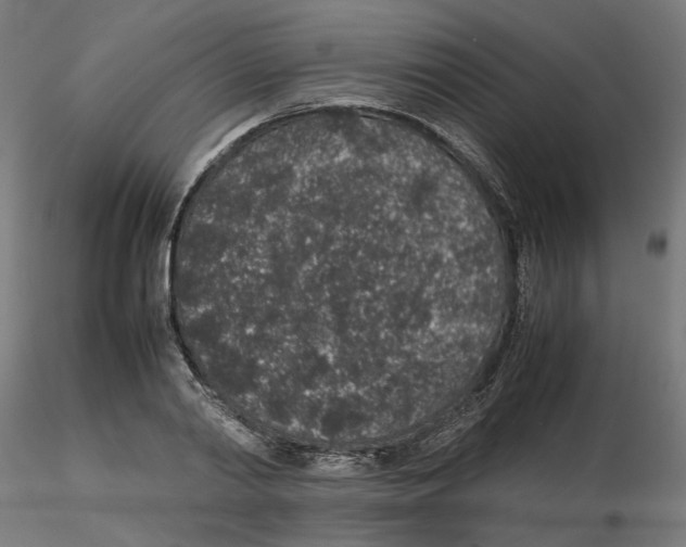 X0000116100790200912211610