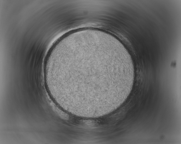 X0000116100792200912211610