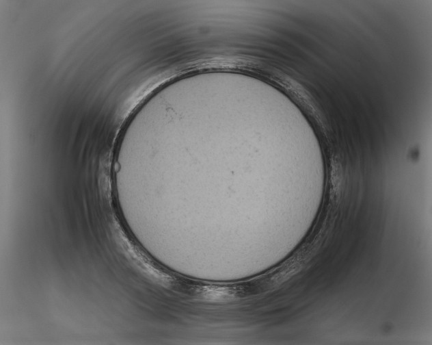 X0000116100794200912211610