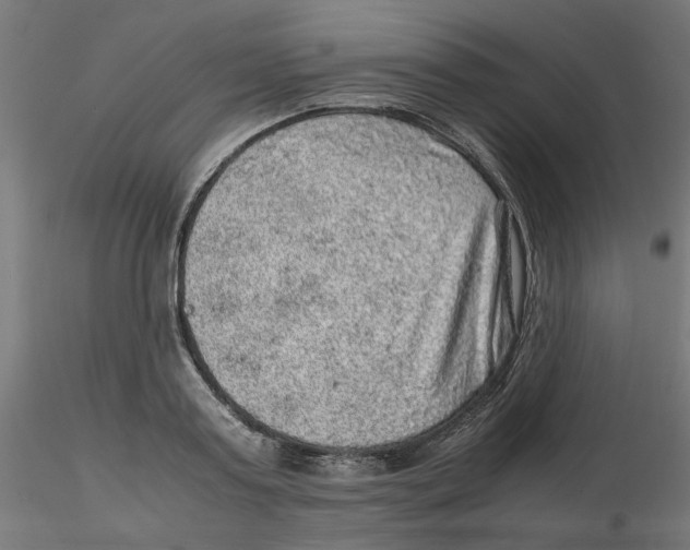 X0000116100795200912211610