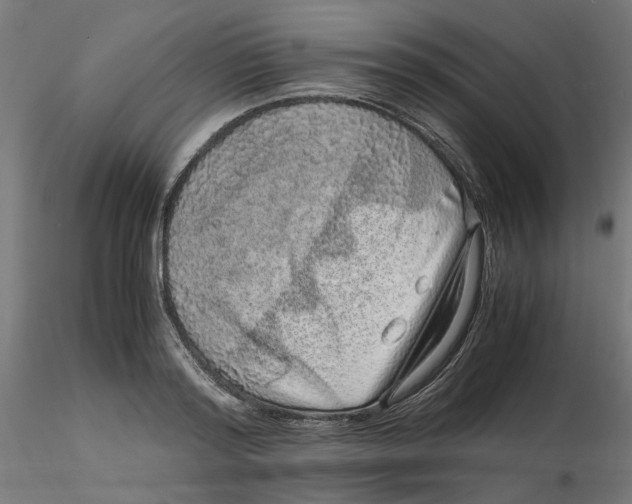 X0000116100796200912211610