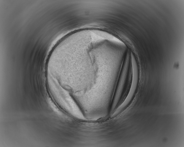 X0000116100800200912211610