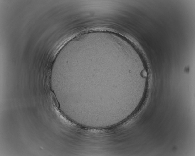 X0000116100801200912211610