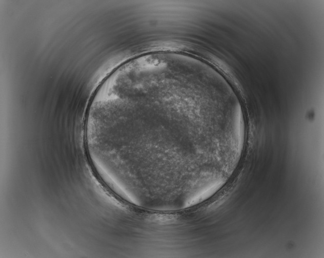 X0000116100802200912211610