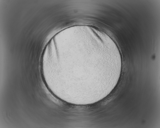 X0000116100803200912211610