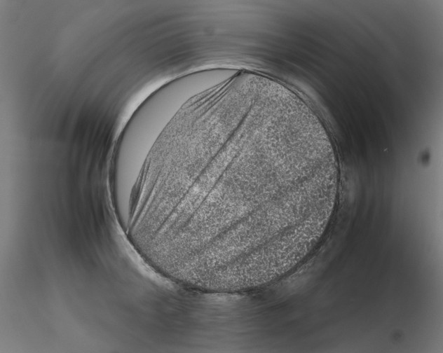 X0000116100804200912211610