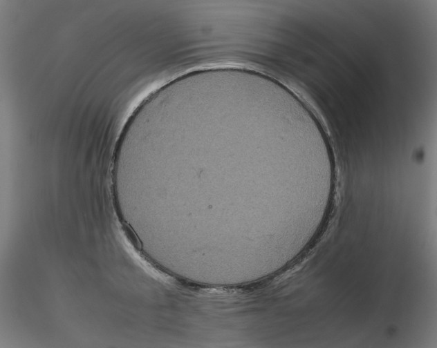 X0000116100805200912211610