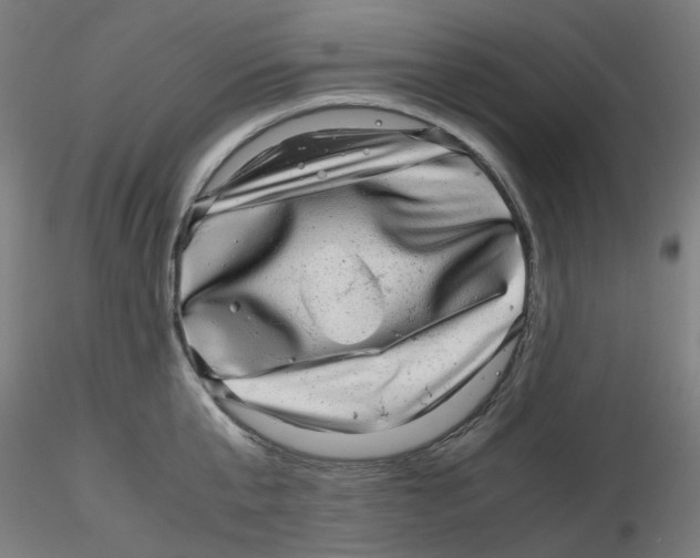 X0000116100807200912211610