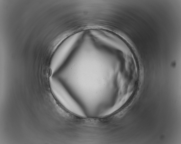 X0000116100809200912211610