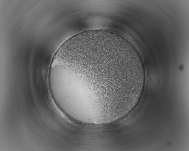 X0000116100810200912211610