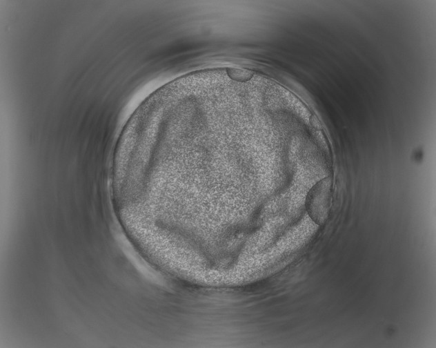 X0000116100811200912211610