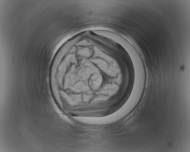 X0000116100813200912211610