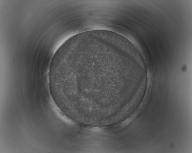 X0000116100814200912211610