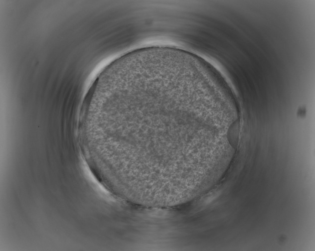 X0000116100815200912211610