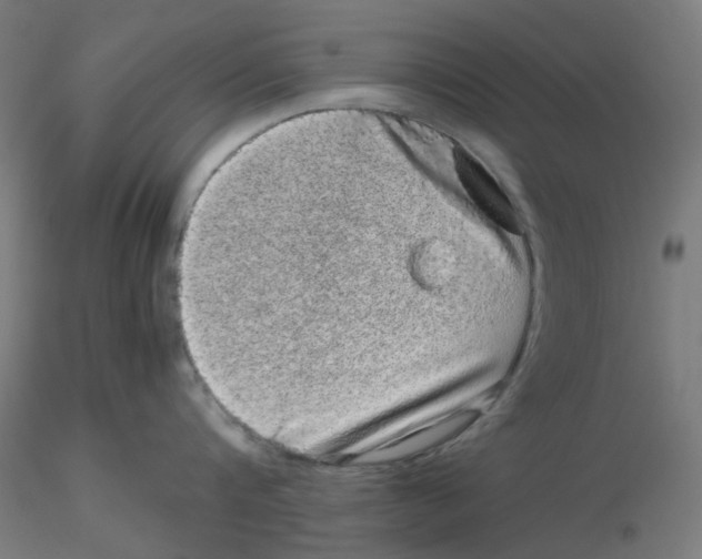 X0000116100816200912211610