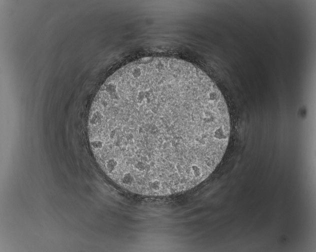 X0000116100817200912211609