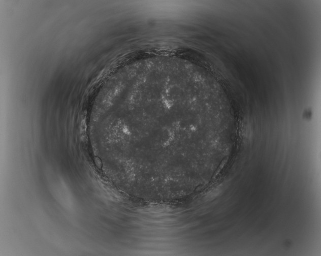 X0000116100818200912211609