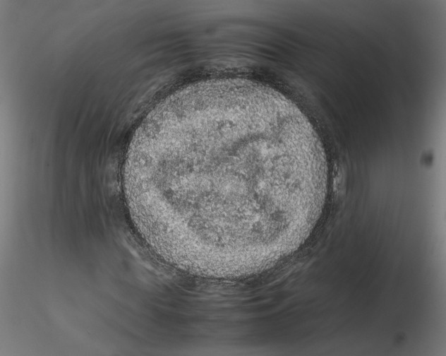 X0000116100819200912211609