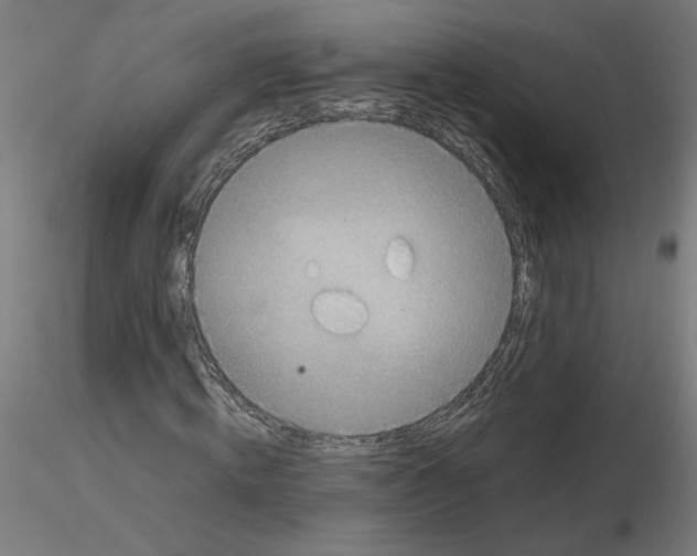 X0000116100820200912211609