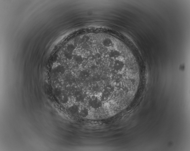 X0000116100823200912211609