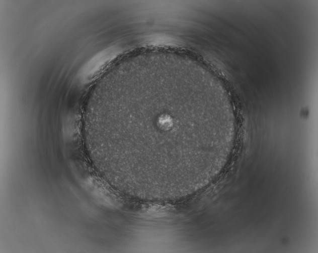 X0000116100824200912211609