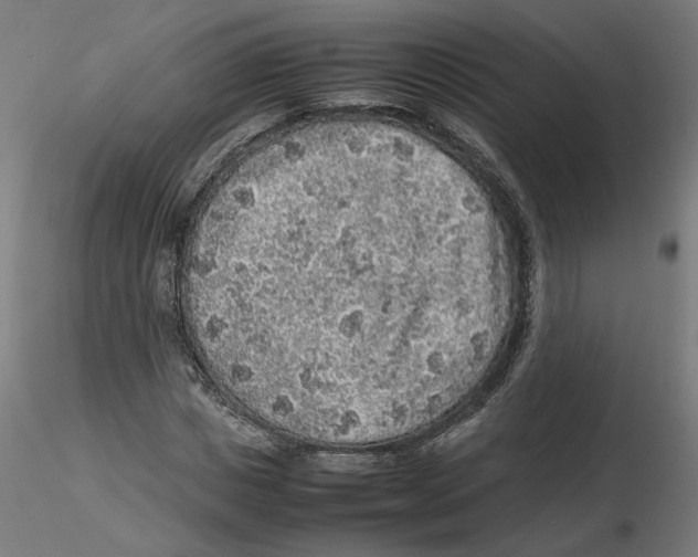 X0000116100825200912211609