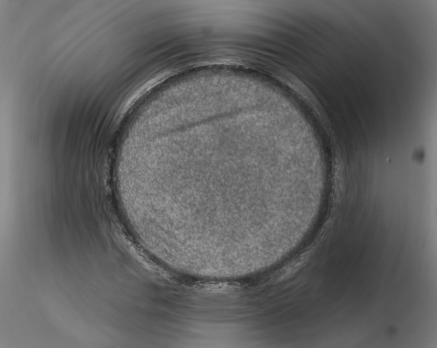 X0000116100826200912211609