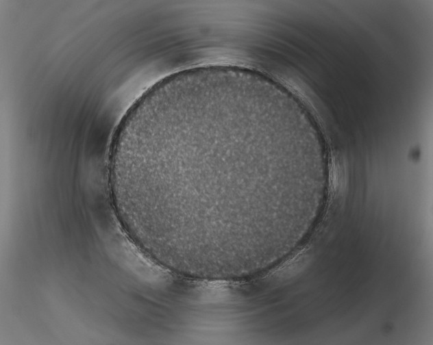 X0000116100828200912211609