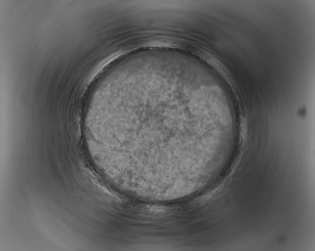 X0000116100829200912211609