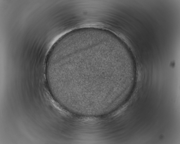 X0000116100830200912211609