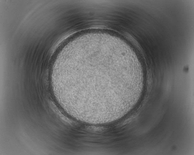 X0000116100831200912211609