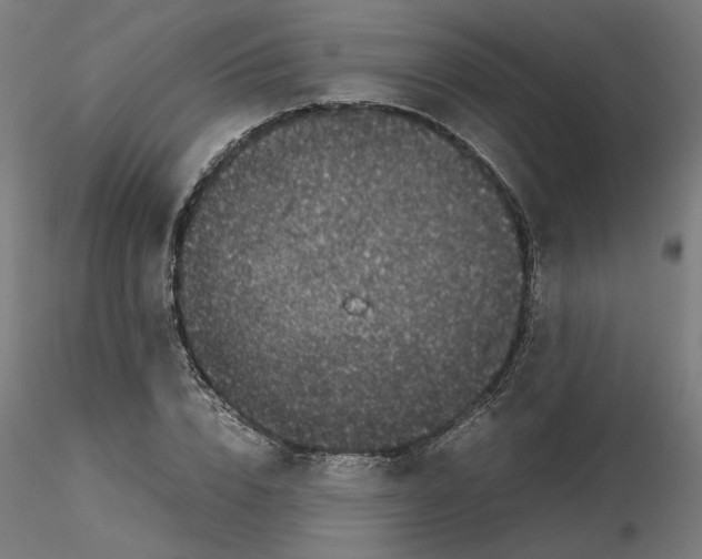 X0000116100832200912211609