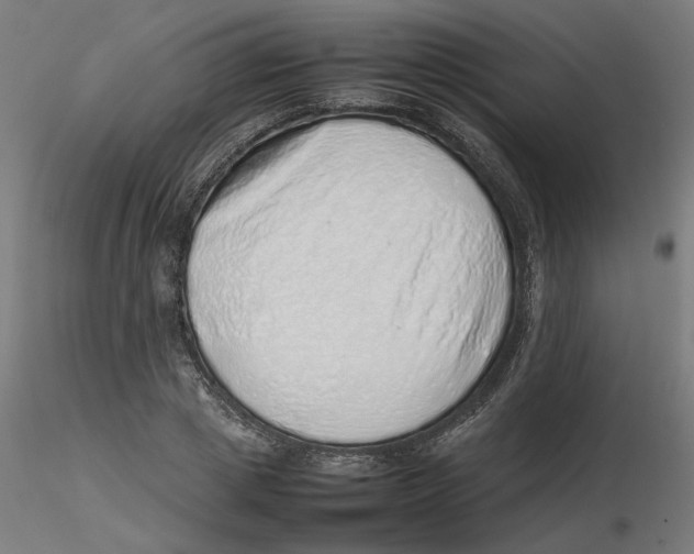 X0000116100833200912211609