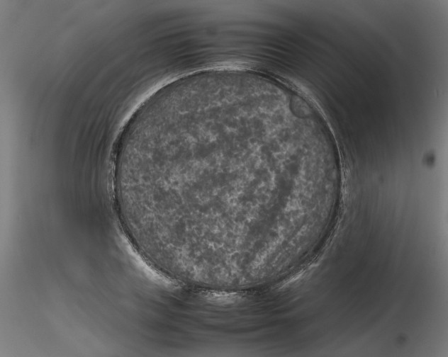 X0000116100835200912211609