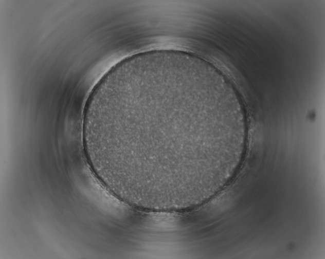 X0000116100836200912211609