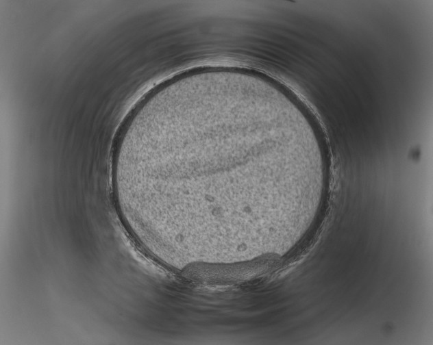 X0000116100837200912211609