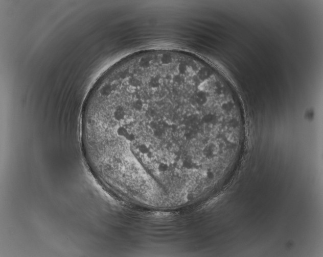 X0000116100839200912211610