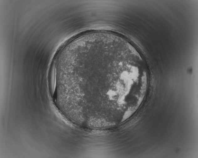 X0000116100840200912211610